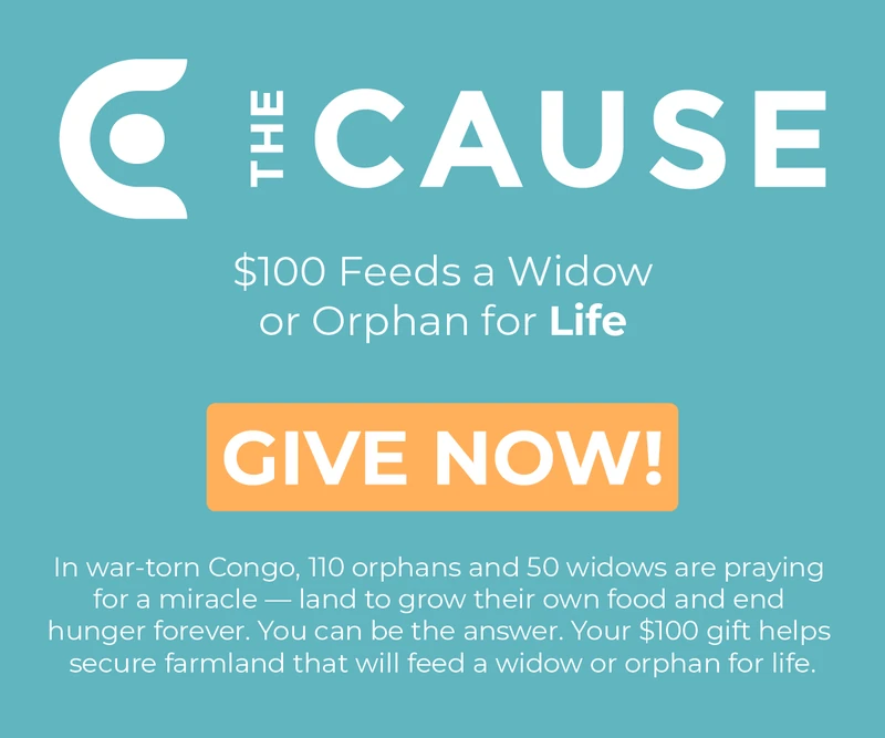The Cause — social, email, web ads and print, image 4