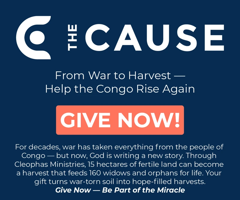 The Cause — social, email, web ads and print, image 5