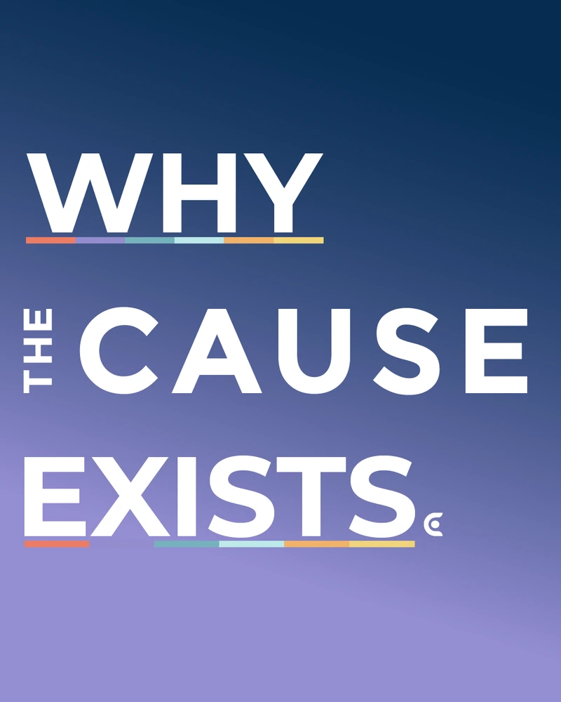 The Cause — social, email, web ads and print, image 1